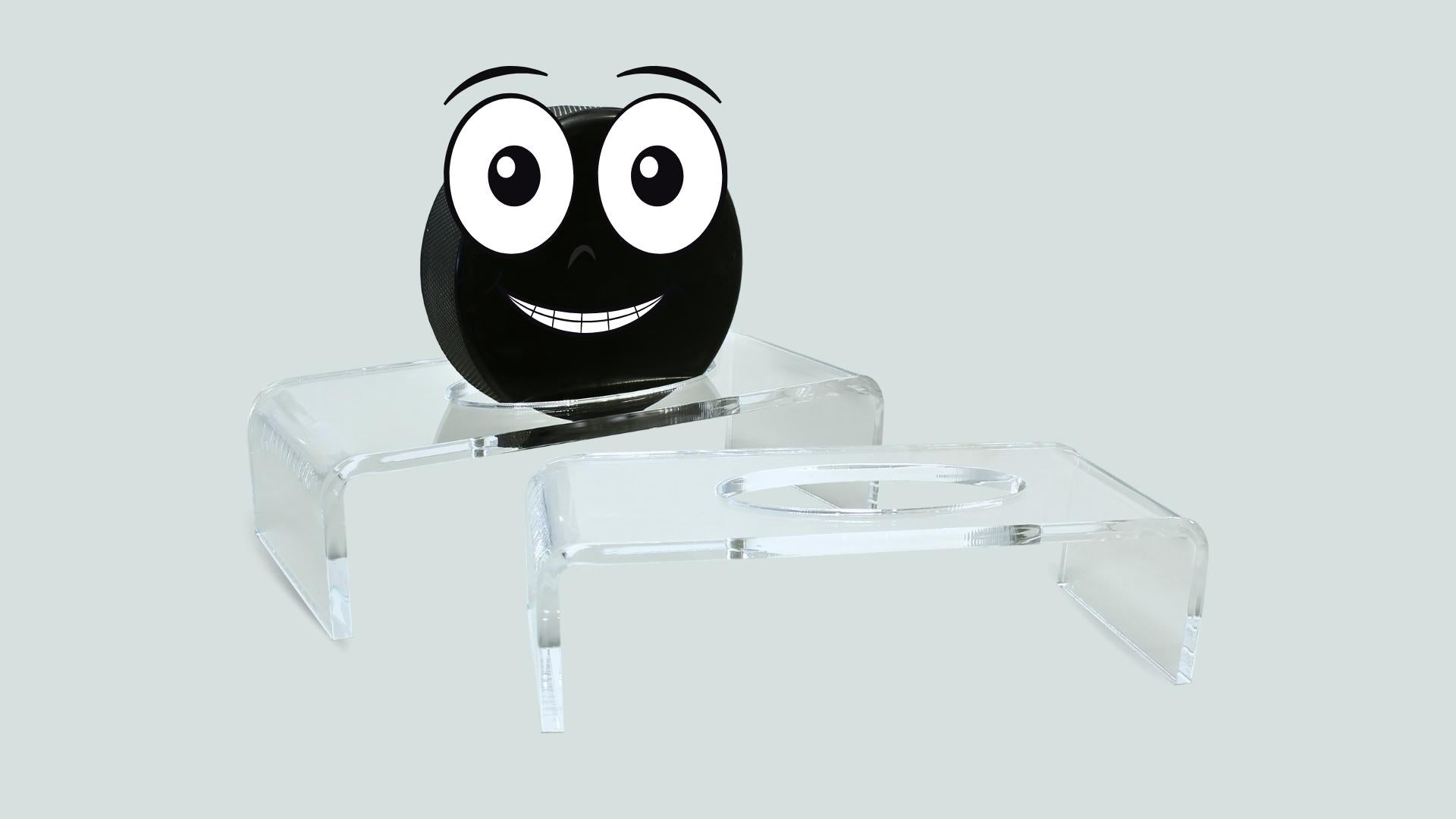 Hockey Puck Display