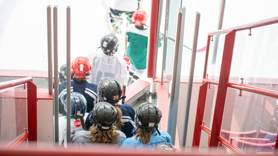 The Different Levels of Youth Ice Hockey Hockey Joe